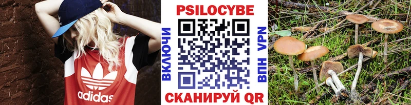 МЕГА вход  Тихвин  Псилоцибиновые грибы Magic Shrooms 