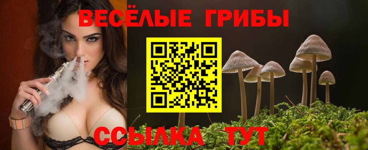 дарнет шоп  Вход с VPN  Тихвин  Галлюциногенные грибы Cubensis 